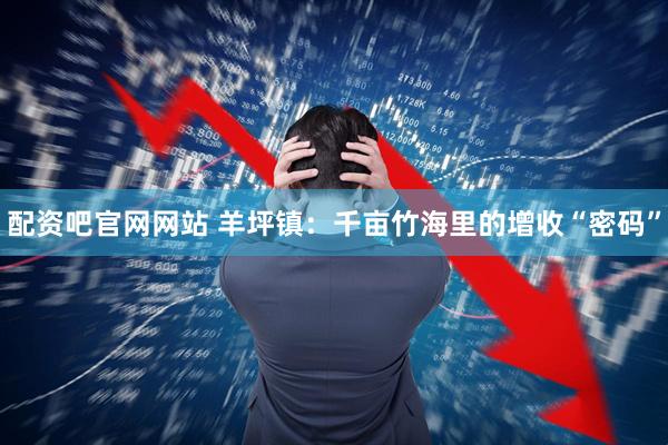 配资吧官网网站 羊坪镇：千亩竹海里的增收“密码”
